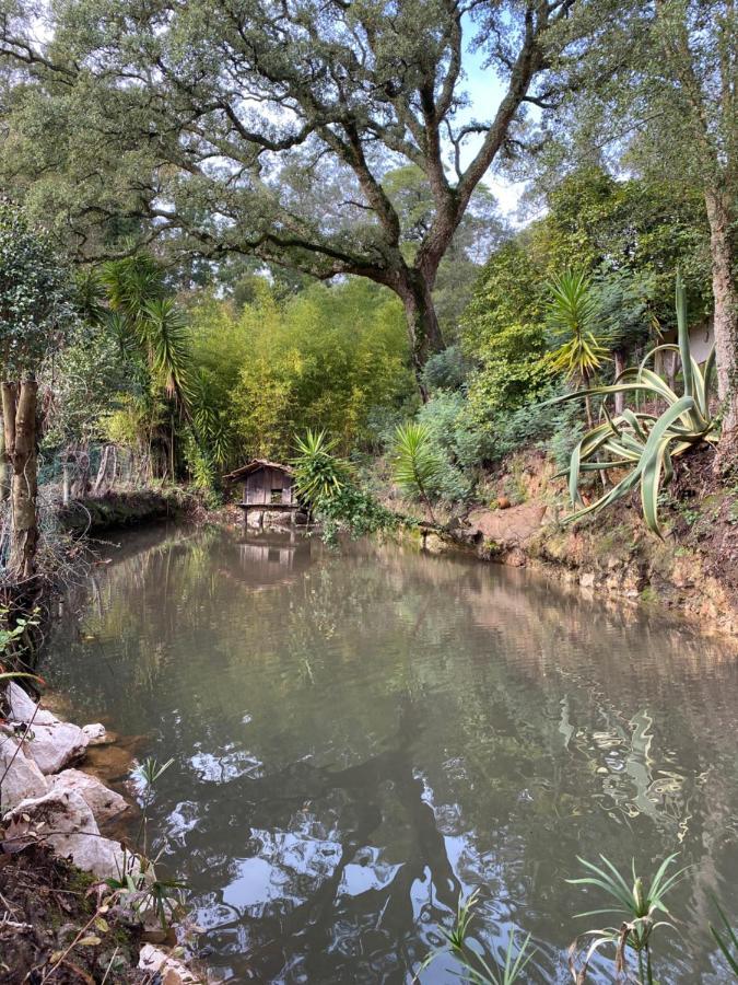 Quinta Do Vale Grande Villa อัลแบร์กาเรีย-อา-แวญา ภายนอก รูปภาพ