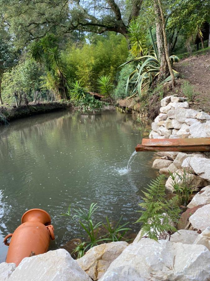 Quinta Do Vale Grande Villa อัลแบร์กาเรีย-อา-แวญา ภายนอก รูปภาพ