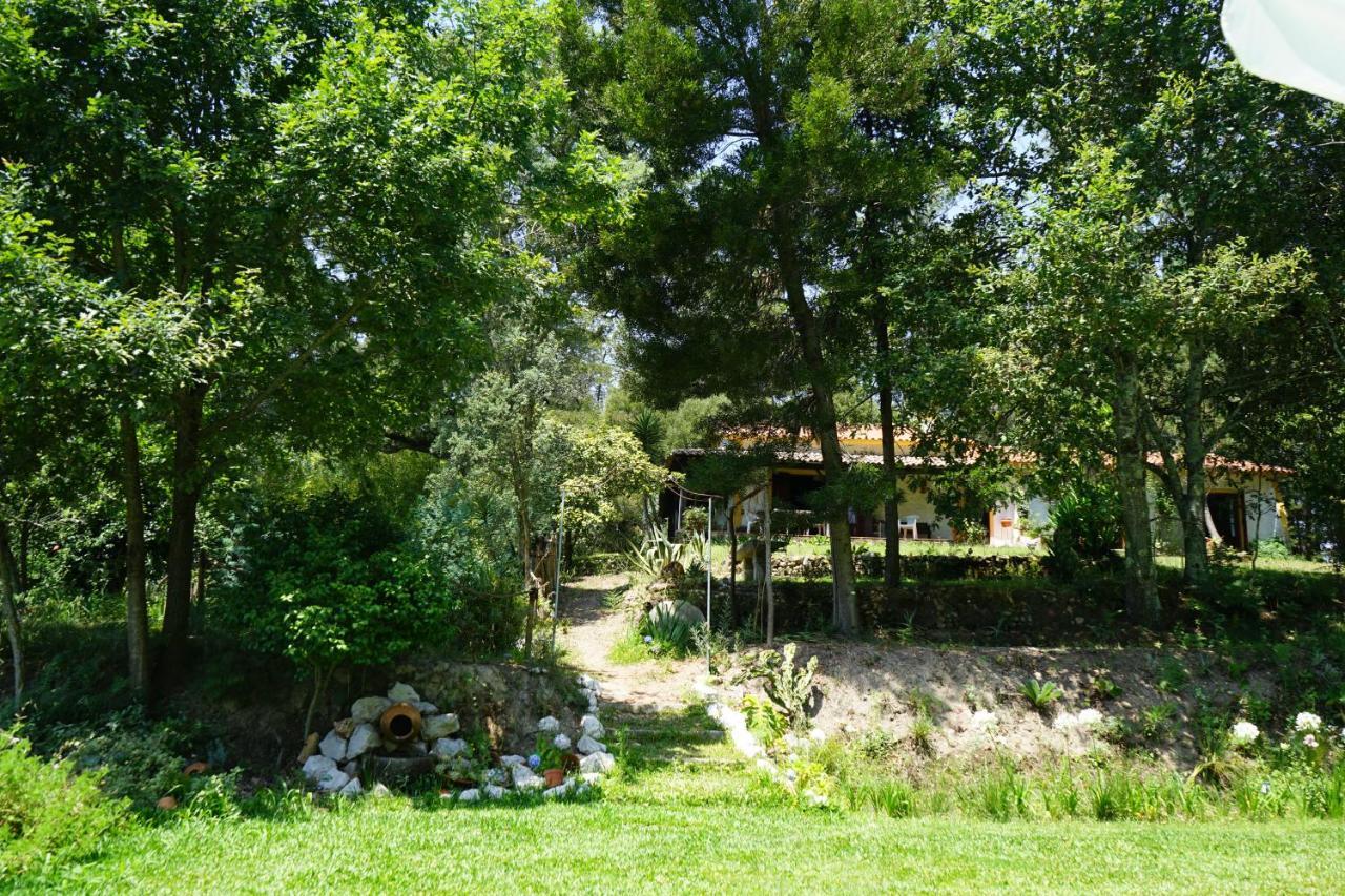 Quinta Do Vale Grande Villa อัลแบร์กาเรีย-อา-แวญา ภายนอก รูปภาพ